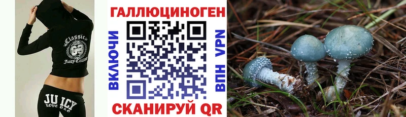 Купить где  Собинка  Псилоцибиновые грибы Cubensis